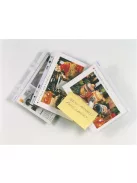 ESSELTE Genotherm, lefűzhető, A5, 65 mikron, narancsos felület, ESSELTE