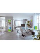 LEITZ Bemutatómappa, 20 zsebes, A4, LEITZ "Wow", zöld