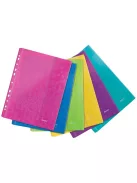 LEITZ Genotherm, lefűzhető, A4, 200 mikron, LEITZ "Wow", vegyes színek