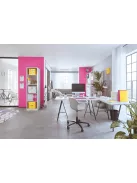 LEITZ Genotherm, lefűzhető, A4, 200 mikron, LEITZ "Wow", vegyes színek