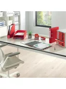 LEITZ Irattálca, műanyag, LEITZ "Plus", piros