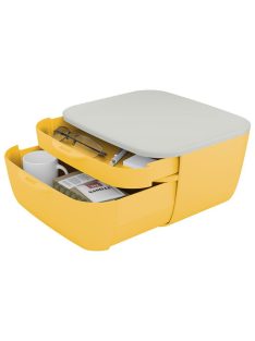   LEITZ Irattároló, műanyag, 2 fiókos, LEITZ "Cosy", melegsárga