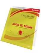 ESSELTE Genotherm, "L", A4, 150 mikron, víztiszta felület, ESSELTE "Luxus", sárga