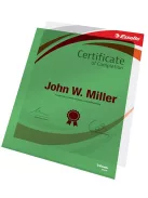 ESSELTE Genotherm, "L", A4, 150 mikron, víztiszta felület, ESSELTE "Luxus", zöld