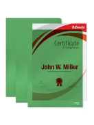 ESSELTE Genotherm, "L", A4, 150 mikron, víztiszta felület, ESSELTE "Luxus", zöld