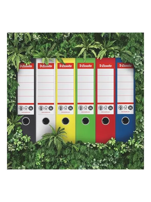 ESSELTE Iratrendező, 75 mm, A4, élvédő sínnel, ESSELTE "No.1", zöld