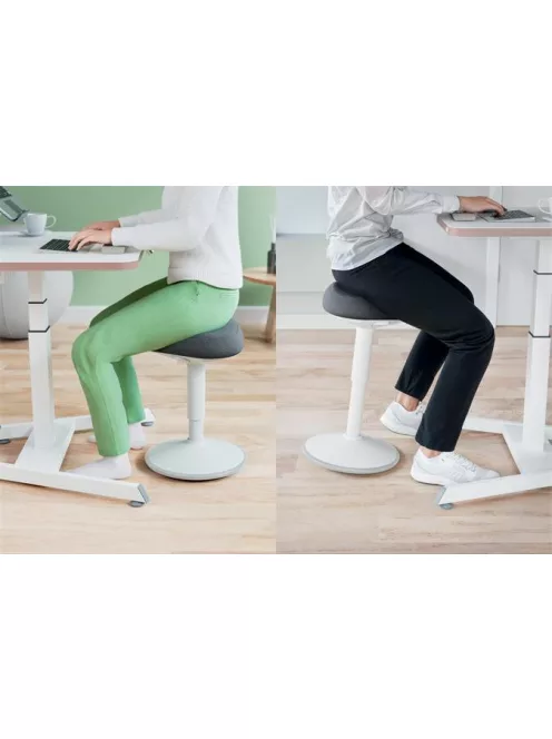 LEITZ Ülőszék, billenő, ergonomikus, LEITZ "Ergo Active", világosszürke