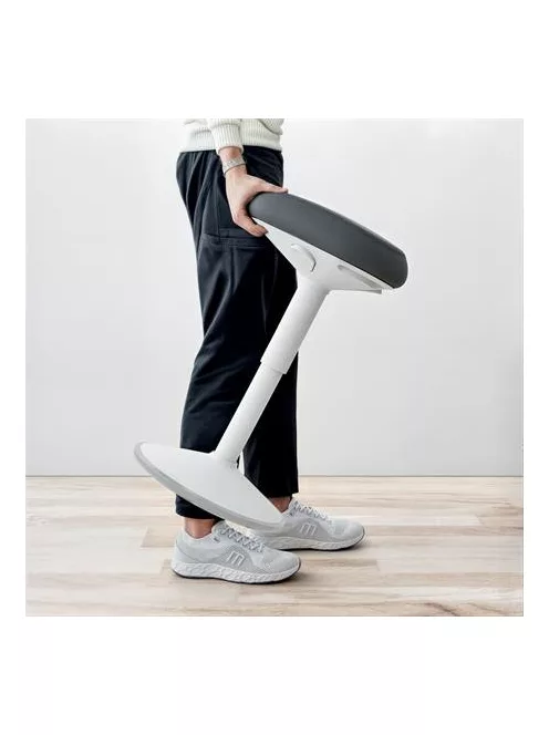 LEITZ Állószék, billenő, ergonomikus, LEITZ "Ergo Active", világosszürke