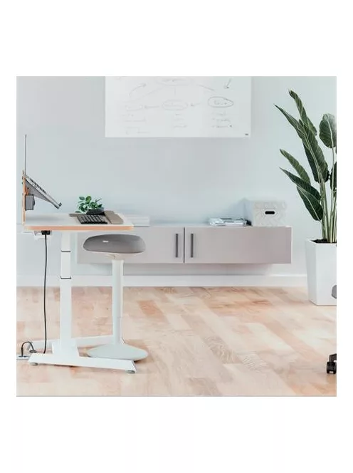 LEITZ Állószék, billenő, ergonomikus, LEITZ "Ergo Active", világosszürke