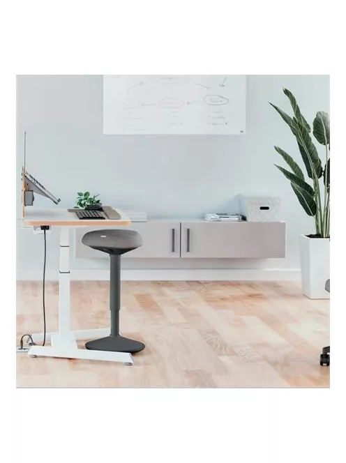 LEITZ Állószék, billenő, ergonomikus, LEITZ "Ergo Active", sötétszürke