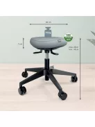 LEITZ Munkaszék, görgős, ergonomikus, LEITZ "Ergo Comfort Active", világosszürke