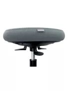 LEITZ Munkaszék, görgős, ergonomikus, LEITZ "Ergo Comfort Active", világosszürke