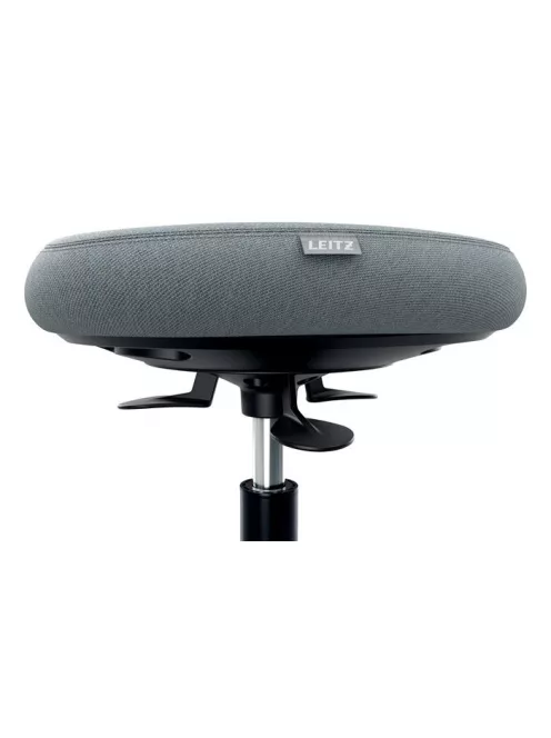 LEITZ Munkaszék, görgős, ergonomikus, LEITZ "Ergo Comfort Active", világosszürke