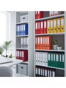 ESSELTE Iratrendező, 50 mm, A4, PP/karton, élvédő sínnel, ESSELTE "Economy", piros