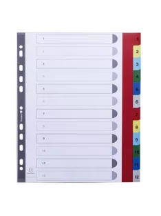 EXACOMPTA Regiszter, műanyag, A4+, 1-12, EXACOMPTA, színes