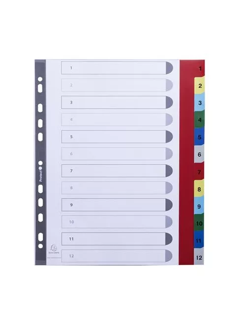 EXACOMPTA Regiszter, műanyag, A4+, 1-12, EXACOMPTA, színes