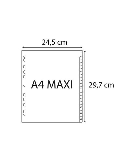 EXACOMPTA Regiszter, műanyag, A4+, 1-12, EXACOMPTA, szürke