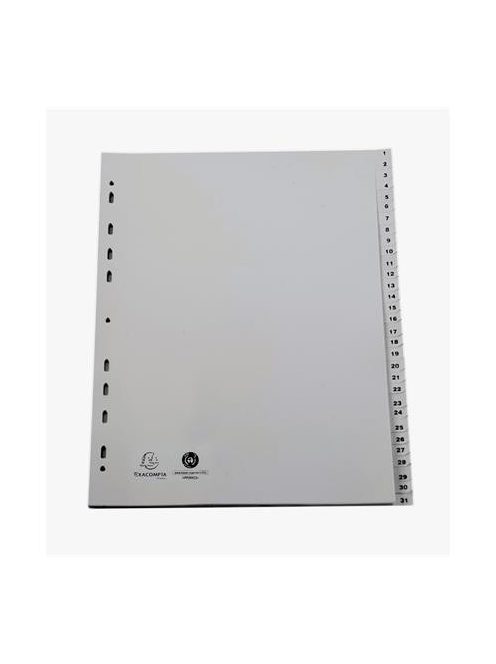 EXACOMPTA Regiszter, műanyag, A4+, 1-31, EXACOMPTA, szürke