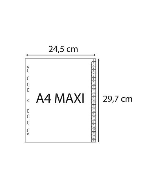 EXACOMPTA Regiszter, műanyag, A4+, 1-31, EXACOMPTA, szürke