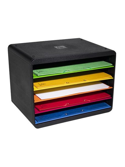 EXACOMPTA Dokumentum szortírozó, műanyag, 5 részes, EXACOMPTA "Horizon Iderama®"