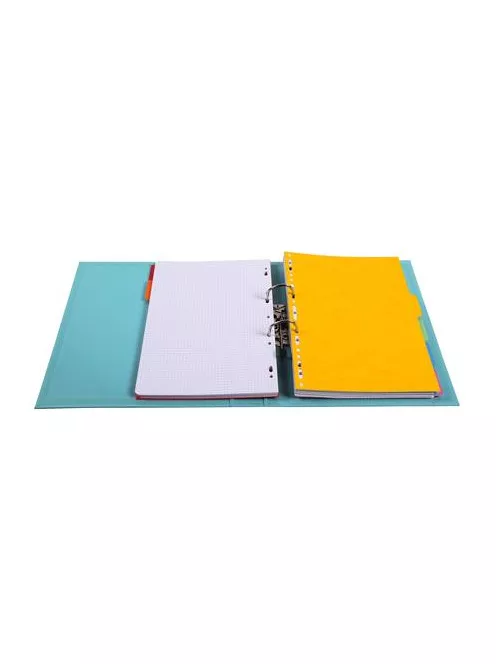 EXACOMPTA Iratrendező, 50 mm, A4, PVC, EXACOMPTA, zöld