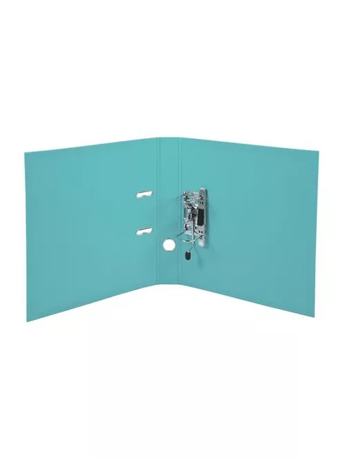 EXACOMPTA Iratrendező, 50 mm, A4, PVC, EXACOMPTA, zöld