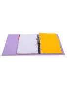 EXACOMPTA Iratrendező, 50 mm, A4, PVC, EXACOMPTA, lila