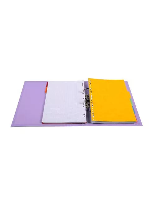 EXACOMPTA Iratrendező, 50 mm, A4, PVC, EXACOMPTA, lila