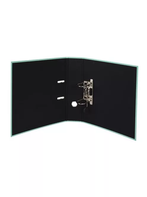 EXACOMPTA Iratrendező, 80 mm, A4, karton, EXACOMPTA "Aquarel", pasztell zöld