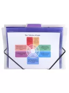 EXACOMPTA Irattároló, PP, 6 rekeszes, fali, EXACOMPTA