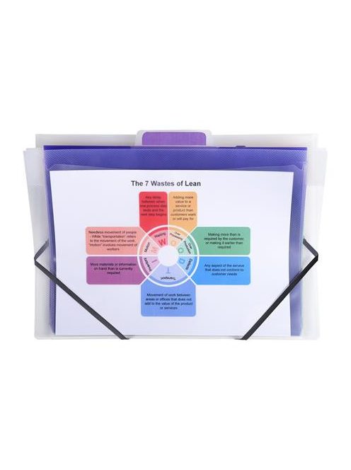 EXACOMPTA Irattároló, PP, 6 rekeszes, fali, EXACOMPTA