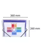 EXACOMPTA Irattároló, PP, 6 rekeszes, fali, EXACOMPTA