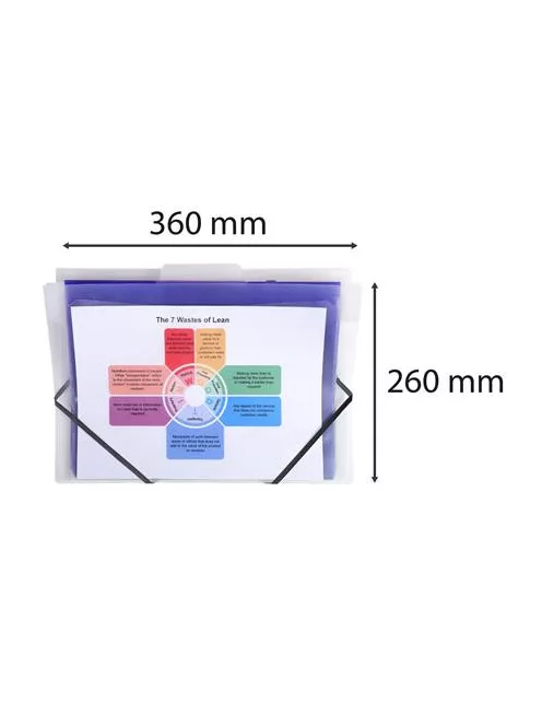 EXACOMPTA Irattároló, PP, 6 rekeszes, fali, EXACOMPTA