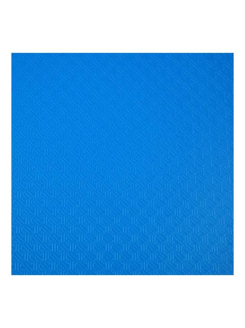 EXACOMPTA Bemutatómappa, 30 zsebes, A4, EXACOMPTA "Opak", kék