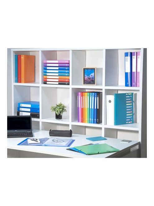 EXACOMPTA Bemutatómappa, 30 zsebes, A4, EXACOMPTA "Opak", kék