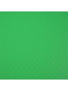 EXACOMPTA Bemutatómappa, 30 zsebes, A4, EXACOMPTA "Opak", zöld