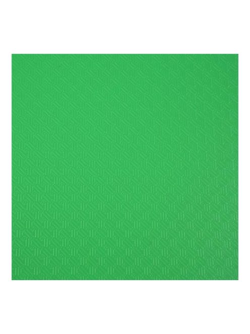 EXACOMPTA Bemutatómappa, 30 zsebes, A4, EXACOMPTA "Opak", zöld