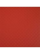 EXACOMPTA Bemutatómappa, 30 zsebes, A4, EXACOMPTA "Opak", piros