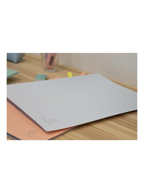 EXACOMPTA Bemutatómappa, 30 zsebes, A4, EXACOMPTA "Aquarel", vegyes pasztell színek