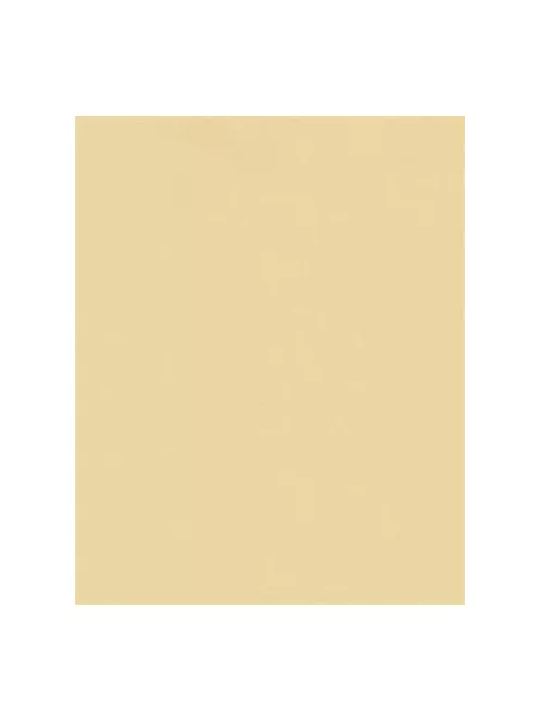 FOLIA Moosgumi, 20x29 cm, 10 lap, FOLIA "Pastel", 10 különböző pasztel szín