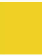 FOLIA Dekorkarton, 2 oldalas, 50x70 cm, 300 g, 10 lap, FOLIA, aranysárga