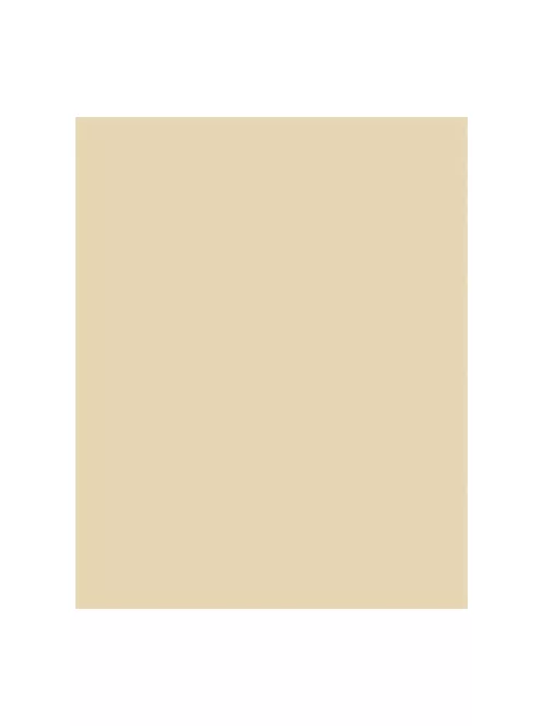 FOLIA Dekorkarton, 2 oldalas, 50x70cm, 220 g, 10 lap, FOLIA, bézs