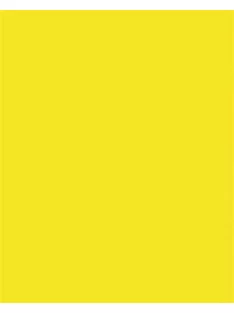   FOLIA Dekorkarton, 2 oldalas, 50x70cm, 220 g, 10 lap, FOLIA, citromsárga