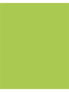   FOLIA Dekorkarton, 2 oldalas, 50x70cm, 220 g, 10 lap, FOLIA, tavaszzöld