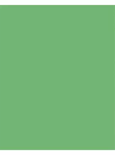   FOLIA Dekorkarton, 2 oldalas, 50x70cm, 220 g, 10 lap, FOLIA, smaragdzöld