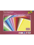 FOLIA Dekorkarton, 2 oldalas, 50x70cm, 220 g, 25 lap, FOLIA, vegyes színek
