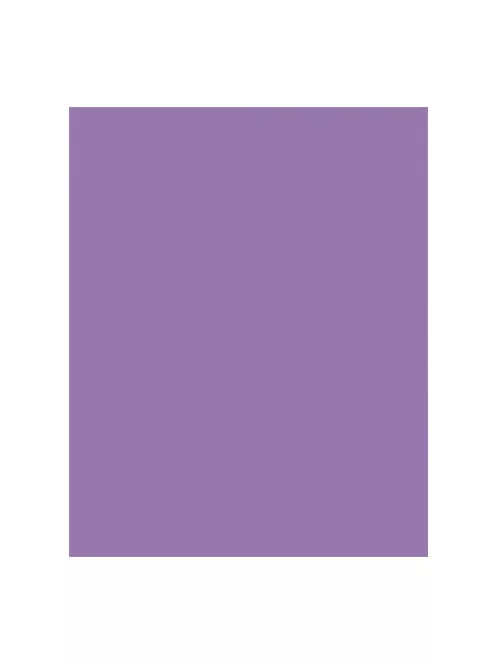 FOLIA Dekorkarton, 2 oldalas, 50x70 cm, 300 g, 10 lap, FOLIA, sötét orgonalila