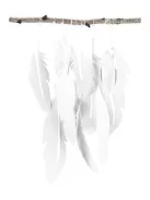 FOLIA Dekorkarton, 2 oldalas, A4, 300 g, 50 lap, FOLIA, fehér