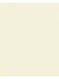   FOLIA Dekorkarton, 2 oldalas, A4, 300 g, 50 lap, FOLIA, bézs