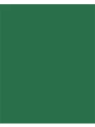 FOLIA Dekorkarton, 2 oldalas, A4, 300 g, 50 lap, FOLIA, fenyőzöld